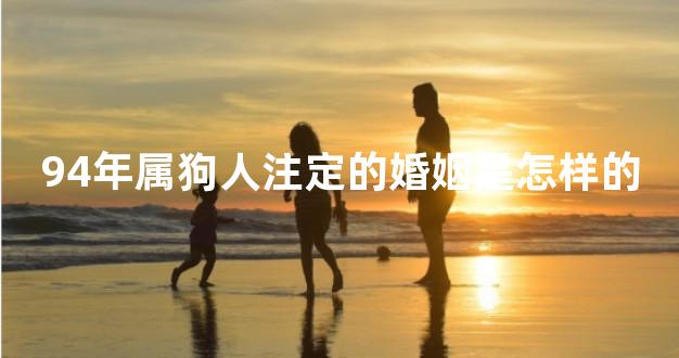 94年属狗人注定的婚姻是怎样的