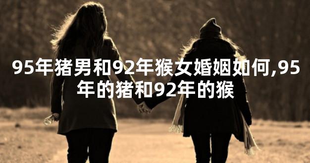 95年猪男和92年猴女婚姻如何,95年的猪和92年的猴