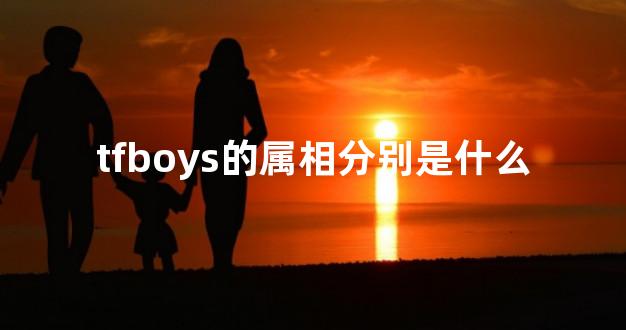 tfboys的属相分别是什么