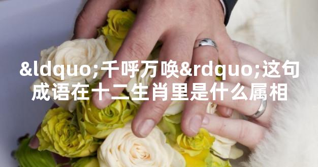 “千呼万唤”这句成语在十二生肖里是什么属相