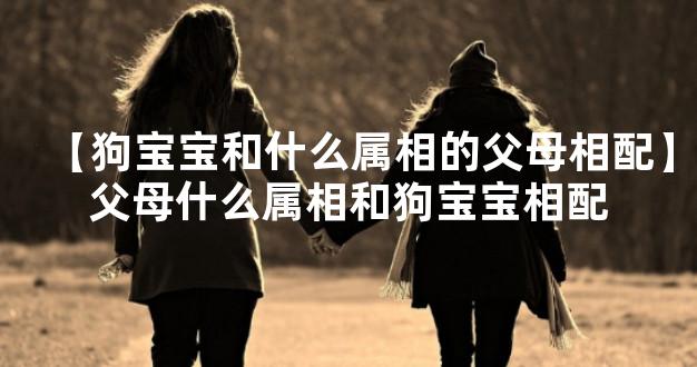 【狗宝宝和什么属相的父母相配】父母什么属相和狗