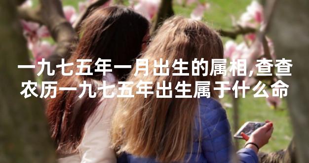 一九七五年一月出生的属相,查查农历一九七五年出生