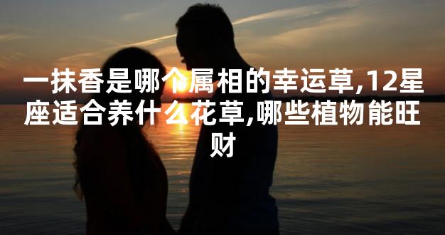一抹香是哪个属相的幸运草,12星座适合养什么花草,哪