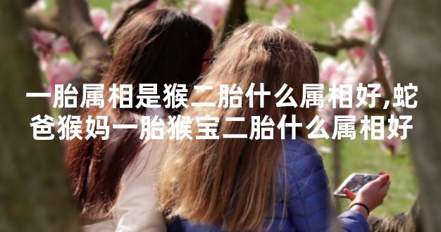 一胎属相是猴二胎什么属相好,蛇爸猴妈一胎猴宝二胎