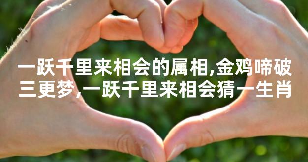 一跃千里来相会的属相,金鸡啼破三更梦,一跃千里来相
