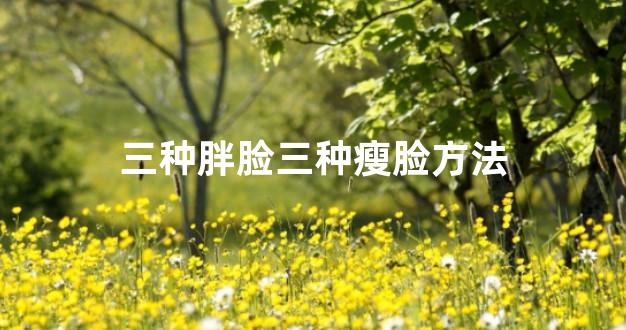 三种胖脸三种瘦脸方法