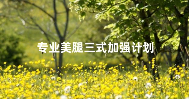 专业美腿三式加强计划