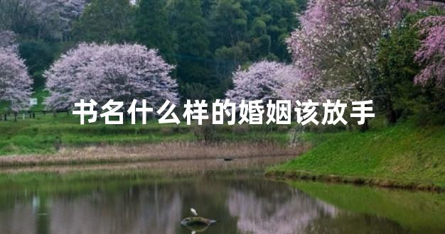 书名什么样的婚姻该放手