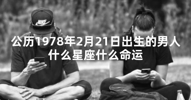 公历1978年2月21日出生的男人什么星座什么命运
