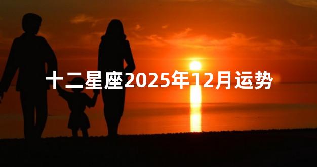 十二星座2025年12月运势