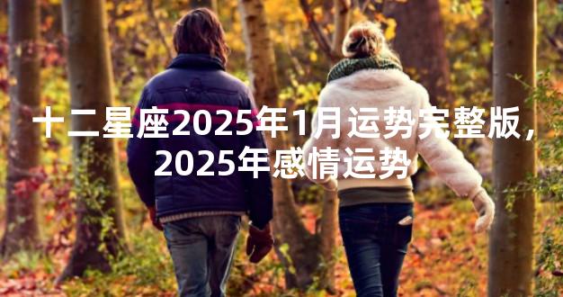 十二星座2025年1月运势完整版，2025年感情运势