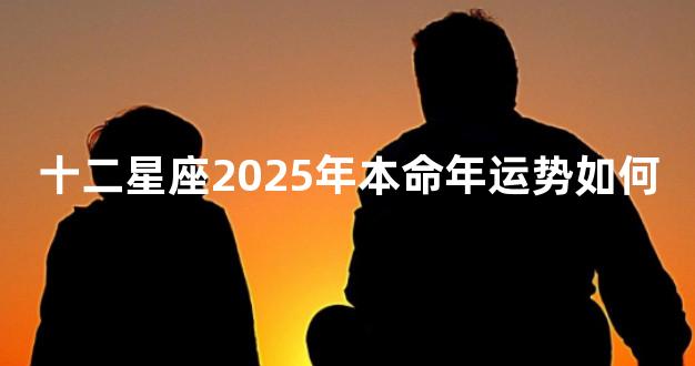 十二星座2025年本命年运势如何