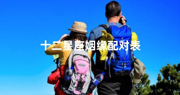 十二星座姻缘配对表