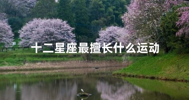十二星座最擅长什么运动