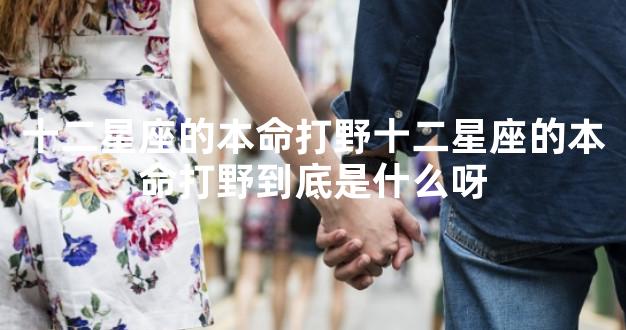 十二星座的本命打野十二星座的本命打野到底是什么