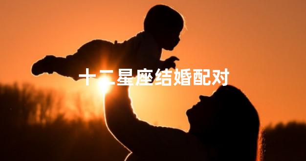 十二星座结婚配对
