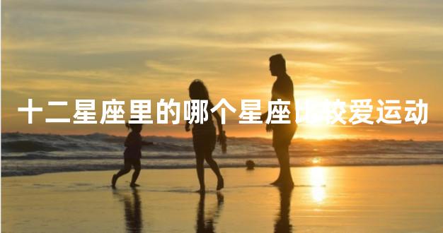 十二星座里的哪个星座比较爱运动