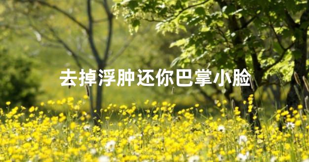 去掉浮肿还你巴掌小脸