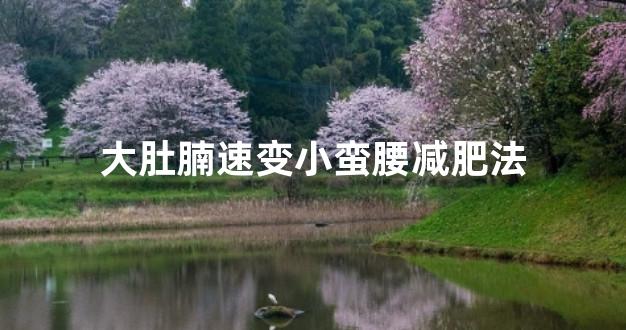 大肚腩速变小蛮腰减肥法