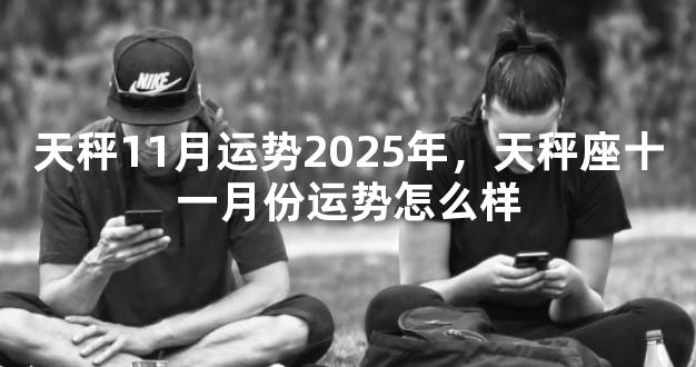 天秤11月运势2025年，天秤座十一月份运势怎么样