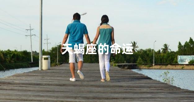 天蝎座的命运