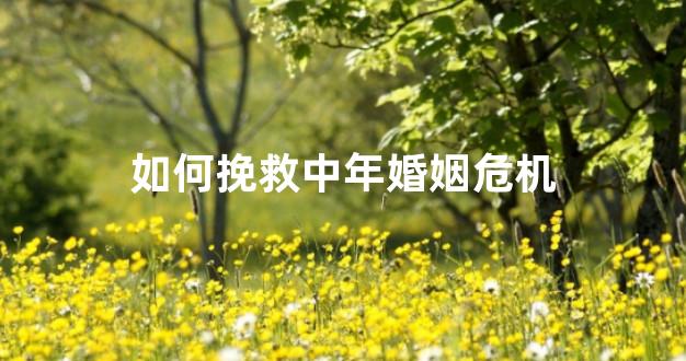 如何挽救中年婚姻危机