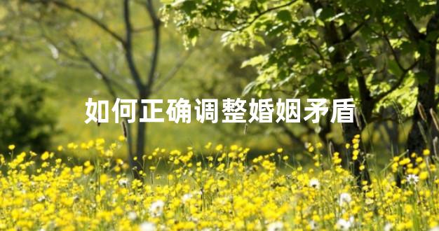 如何正确调整婚姻矛盾
