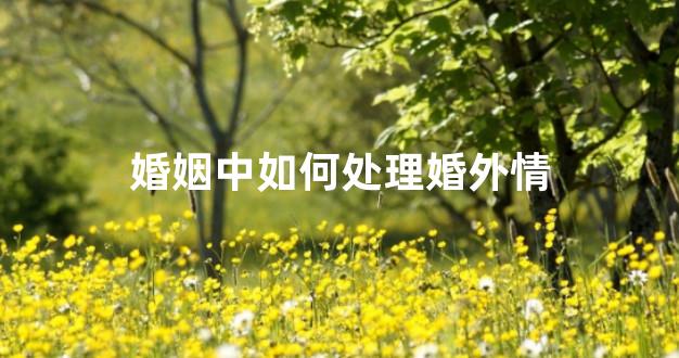 婚姻中如何处理婚外情