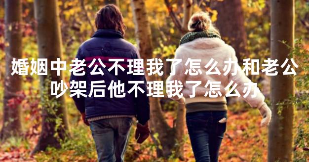 婚姻中老公不理我了怎么办和老公吵架后他不理我了