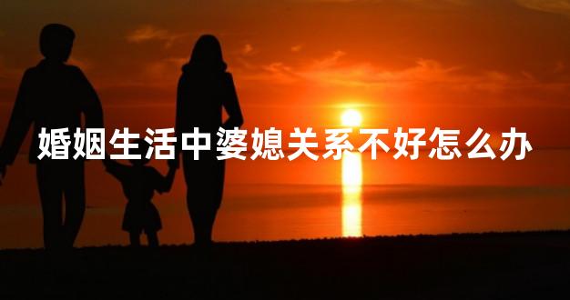 婚姻生活中婆媳关系不好怎么办