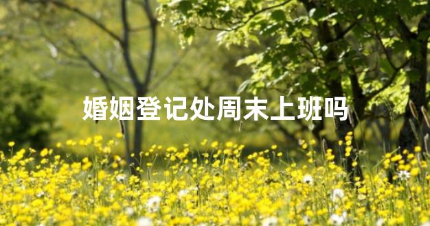 婚姻登记处周末上班吗