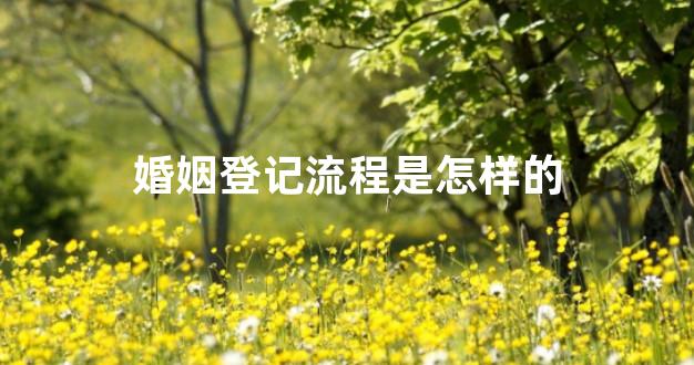 婚姻登记流程是怎样的