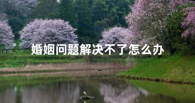 婚姻问题解决不了怎么办