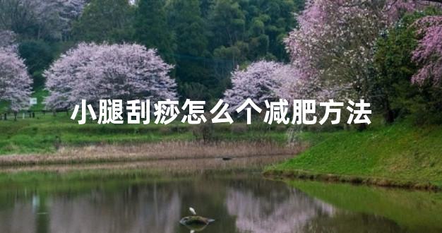 小腿刮痧怎么个减肥方法