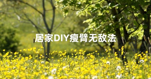 居家DIY瘦臂无敌法