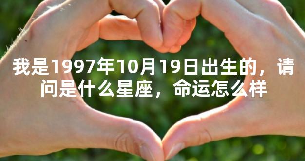 我是1997年10月19日出生的，请问是什么星座，命运怎么