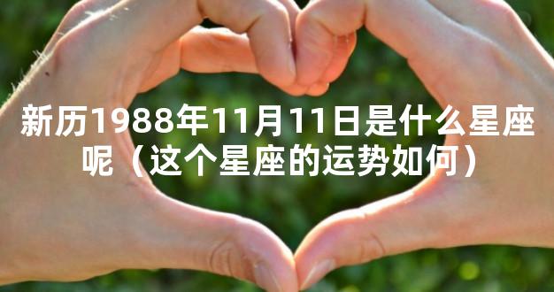 新历1988年11月11日是什么星座呢（这个星座的运势如何