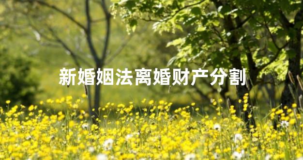 新婚姻法离婚财产分割