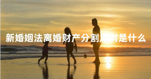 新婚姻法离婚财产分割原则是什么