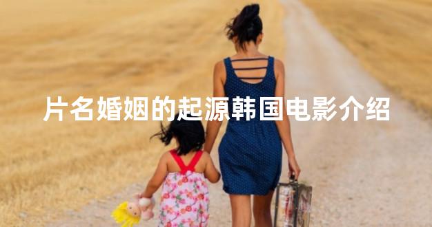 片名婚姻的起源韩国电影介绍