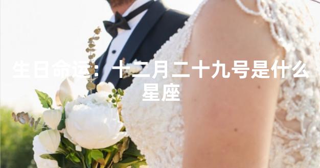 生日命运：十二月二十九号是什么星座