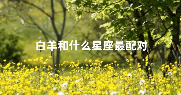 白羊和什么星座最配对