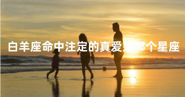 白羊座命中注定的真爱是哪个星座