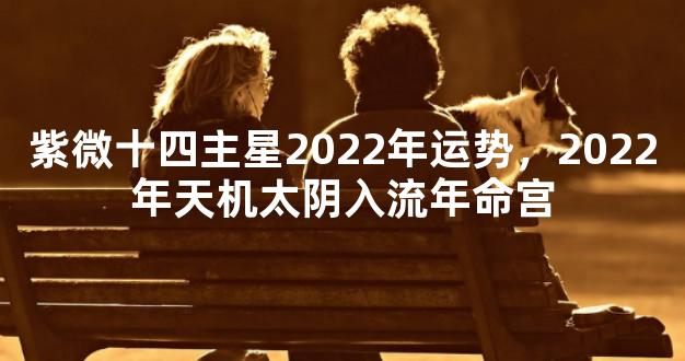 紫微十四主星2022年运势，2022年天机太阴入流年命宫