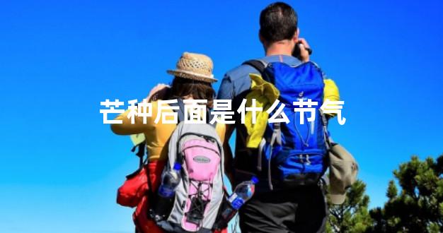 芒种后面是什么节气