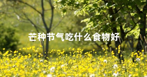 芒种节气吃什么食物好