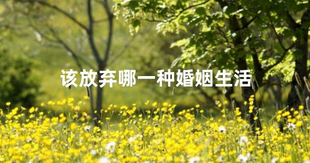 该放弃哪一种婚姻生活